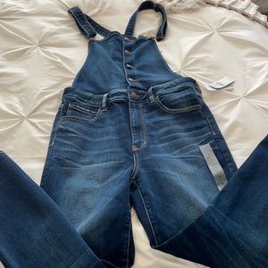American Eagle Overalls